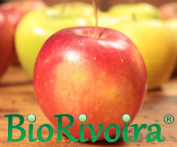 Biorivoira: prodotto biologico naturale per il benessere, ricco di nutrienti e sostenibile.