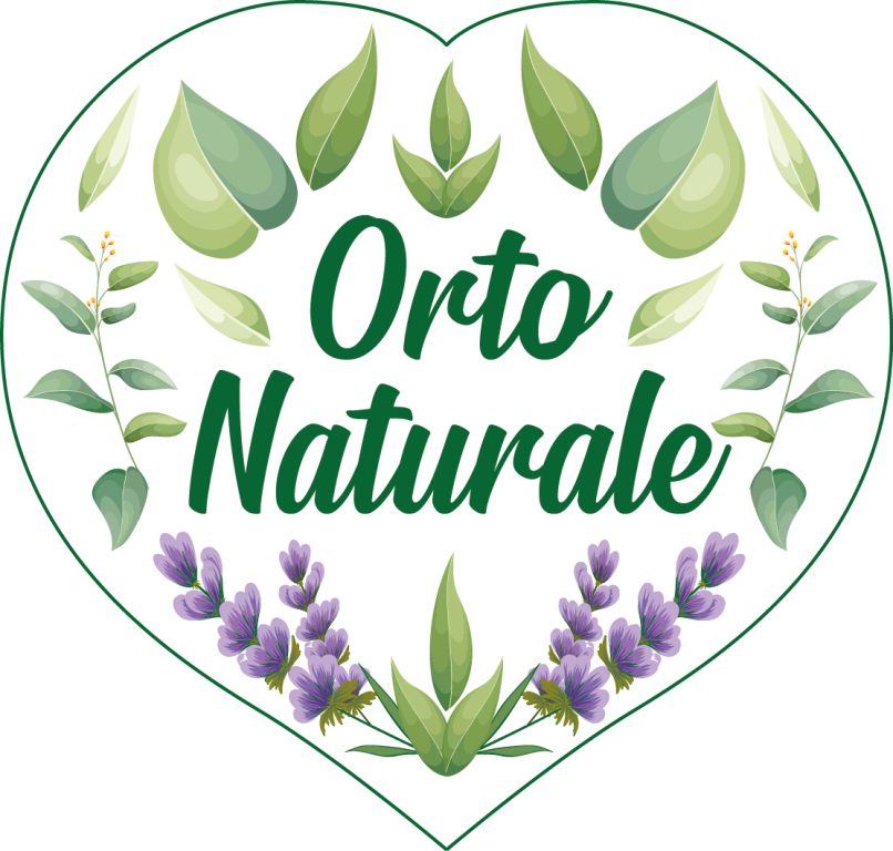 Orto naturale a Trecate NO, produzione di ortaggi col metodo tradizionale